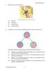 2011 Preliminary Biology (Yr 11)