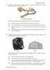 2011 Preliminary Biology (Yr 11)