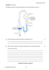 2012 Preliminary Biology (Yr 11)