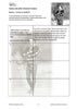 Classroom Activities: Romeo and Juliet